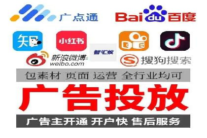 百度竞价SEM案例：揭秘高效广告投放技巧